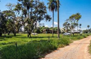 Fazenda á Venda Jaú Brotas SP